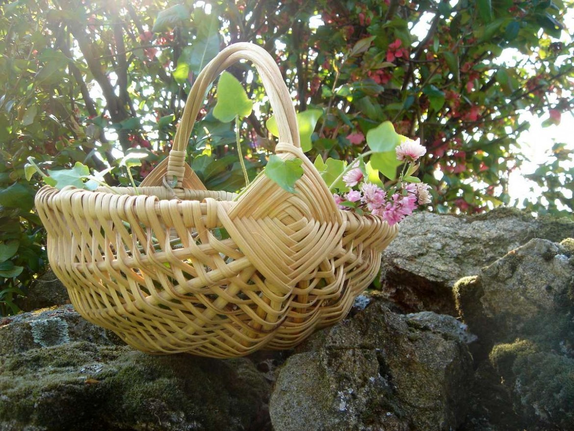 Kit D'outils De Vannerie, Pic En Osier Et Rotin + Petits