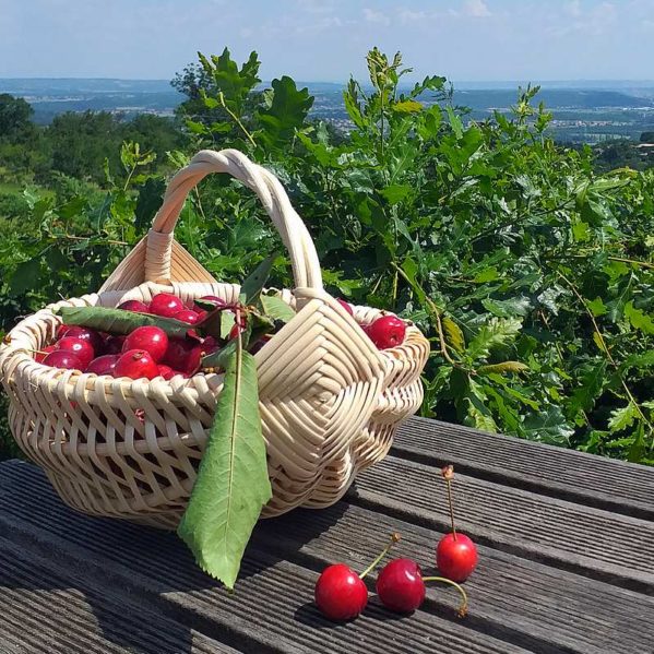 Kit Panier – Image 3